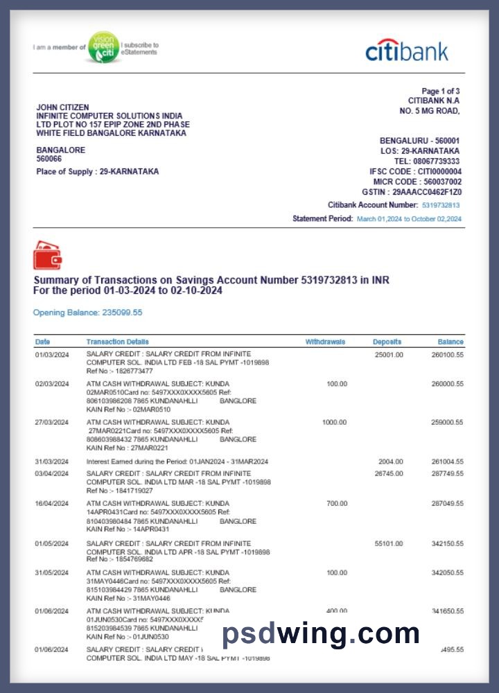 India Citibank Bank Statement (Word)